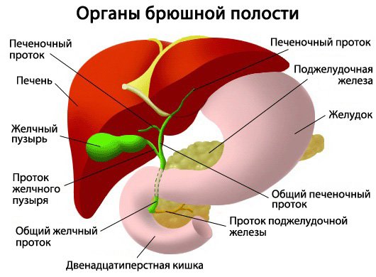 Холецистит — причины, симптомы, диета и лечение холецистита