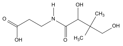 Витамин B5 (Пантотеновая кислота). Функции, источники и применение пантотеновой кислоты