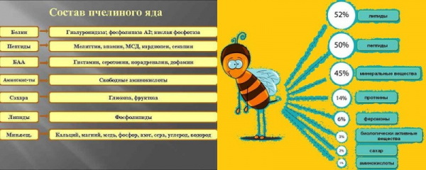 Показания к применению апитерапии – что лечат пчелиные укусы